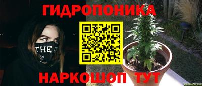 индика Чапаевск