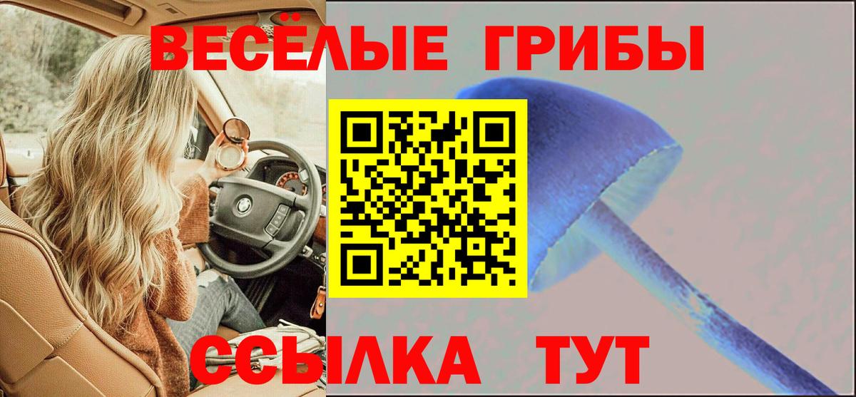 Псилоцибиновые грибы Psilocybe Мытищи