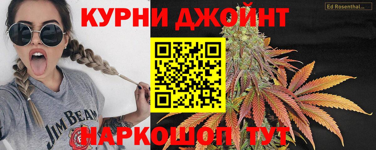 Канабис сатива Мытищи